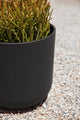 Pure Series Kona Planter, Black, 10", 2 Pack