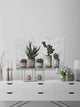 "Earthy Succulent Pots" Painting Print on Wrapped Canvas