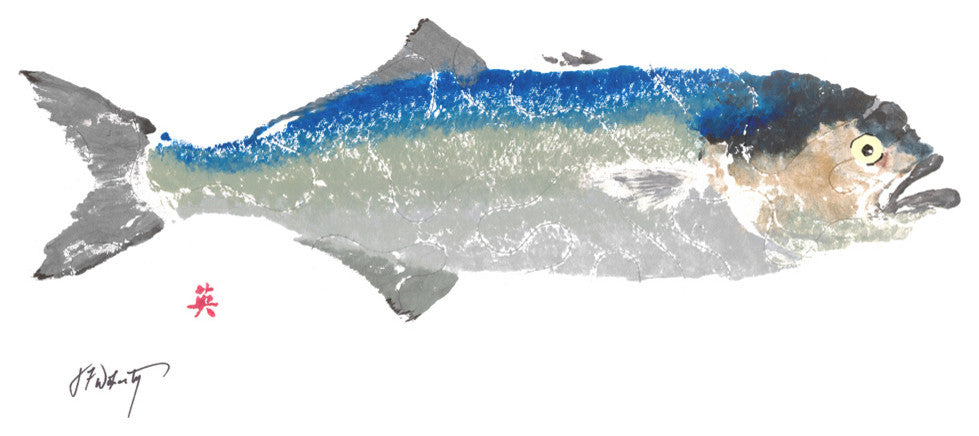 Atlantic Fish Placemats, Set of 4
