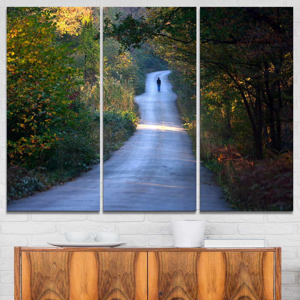"Walking Alone on Road" Photo Canvas Art Print, 3 Panels, 36"x28"