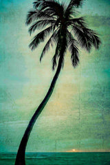 Lone Palm Print on Canvas, 101x152 cm