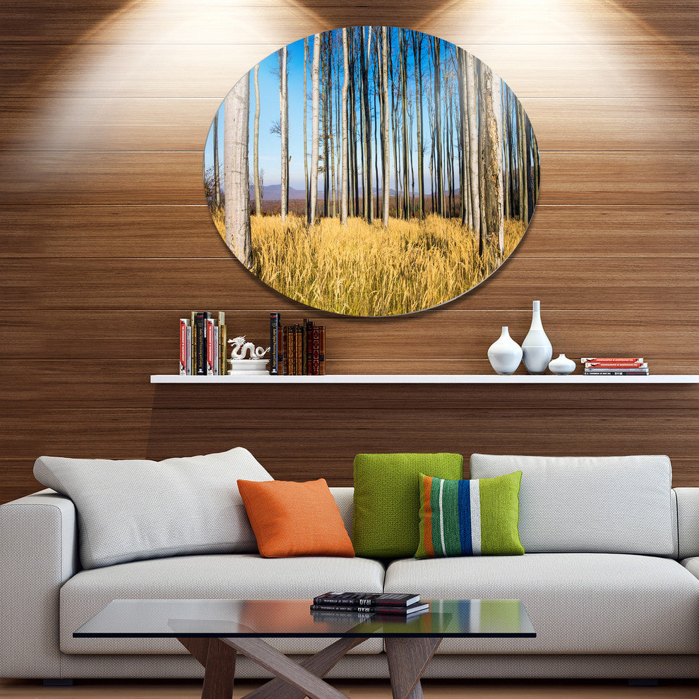 Clear Sky And Bush In Thick Forest, Modern Forest Round Wall Art, 11"