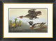 "Red-Breasted Merganser" Framed Digital Print by John James Audubon, 32x24"