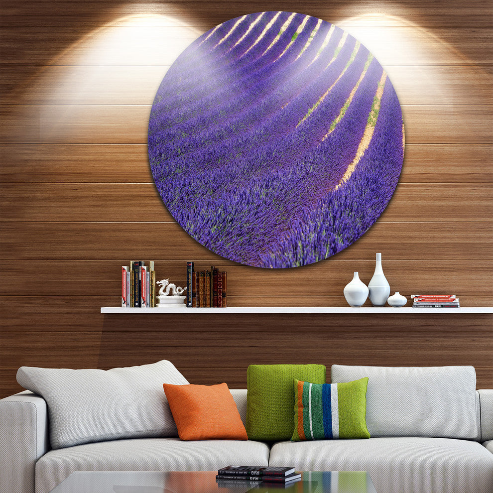 Lavender Blooming Fields As Texture, Landscape Disc Metal Wall Art, 23"