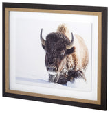Tenacity Framed Art Photograph Matted With Glass