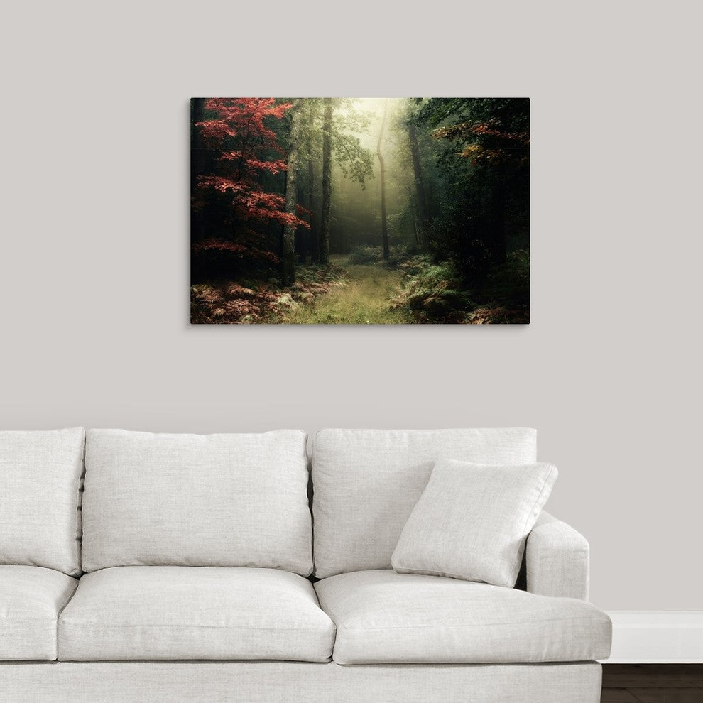 "Legendary Forest in Brittany" Wrapped Canvas Art Print, 36"x24"x1.5"