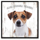 Jack Russell Terrier Dog Canvas Print, 15"x15"
