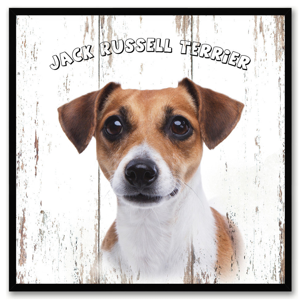 Jack Russell Terrier Dog Canvas Print, 15"x15"