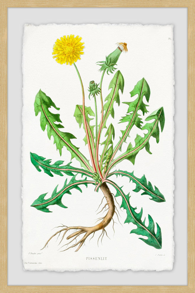 "Yellow Dandelion" Framed Painting Print, 16"x24"