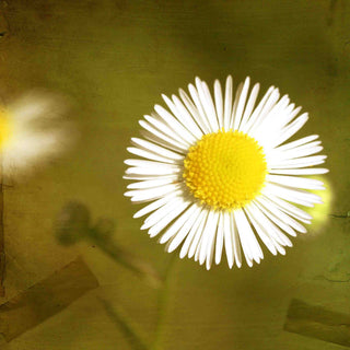 "Patiently" Painting Print on Canvas by Jorgensen