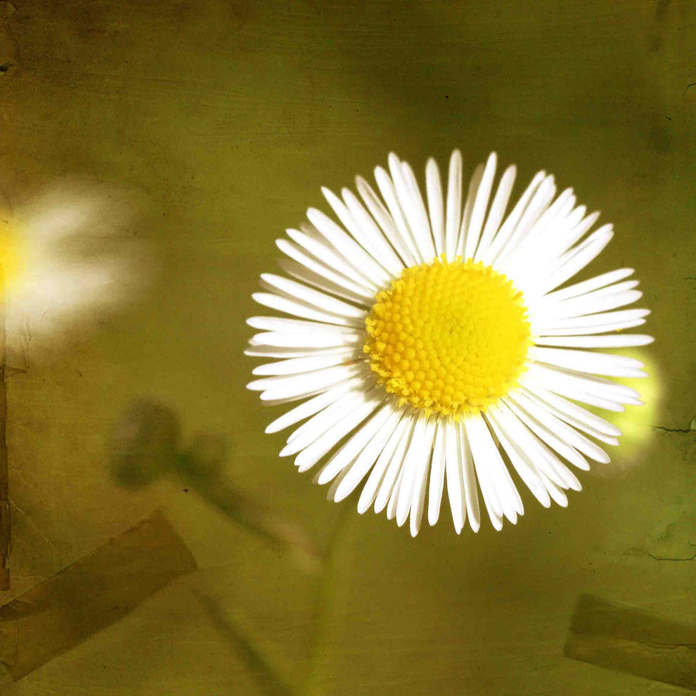 "Patiently" Painting Print on Canvas by Jorgensen