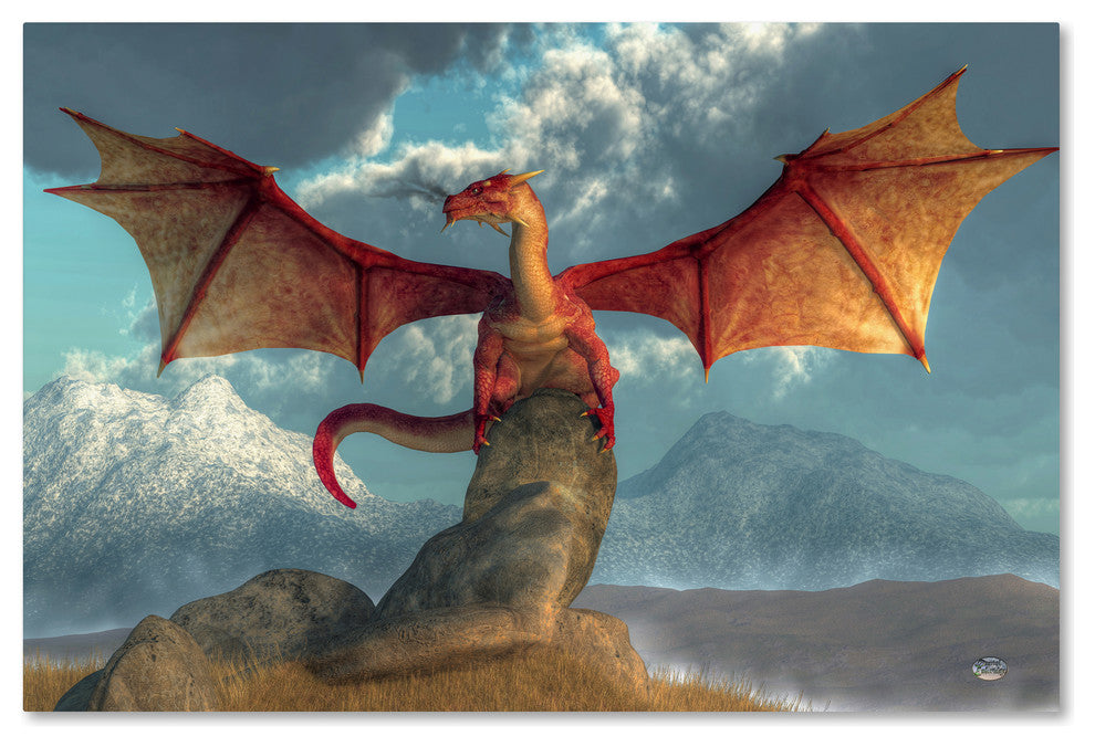 Daniel Eskridge 'Fire Dragon' Canvas Art, 16" x 24"