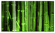 Green Bamboo Forest, Floral Canvas Art Print, 48"x28", 4 Panels