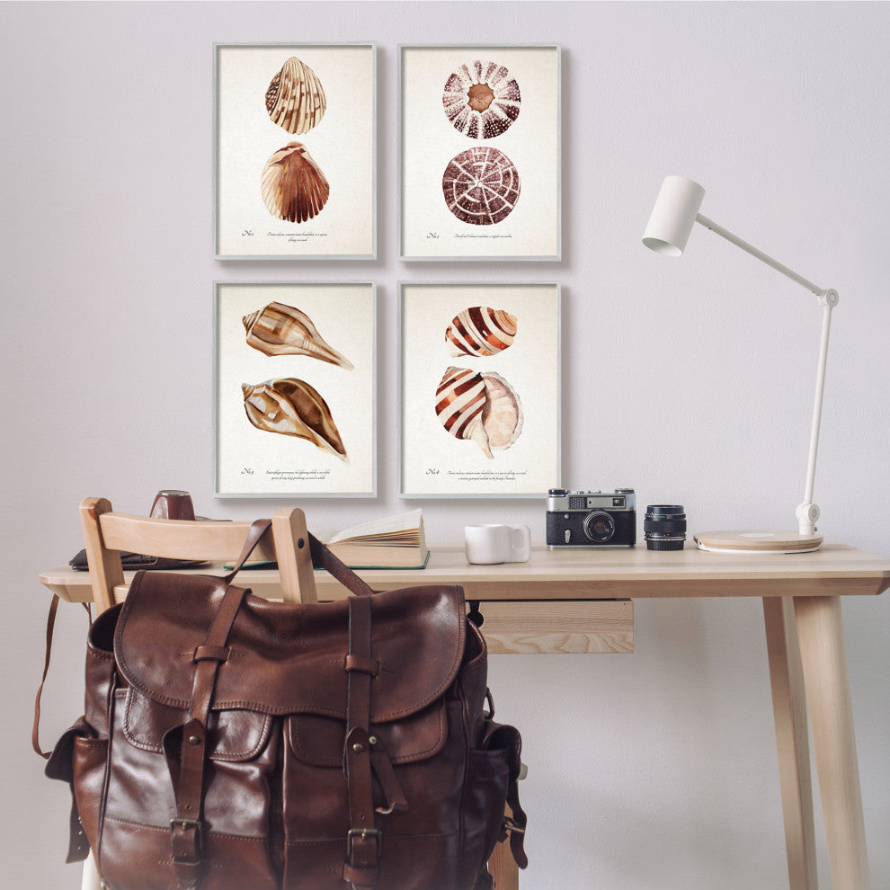 Elegant Beach Seashells Exquisite Marine Life , 4pc, each 11 x 14