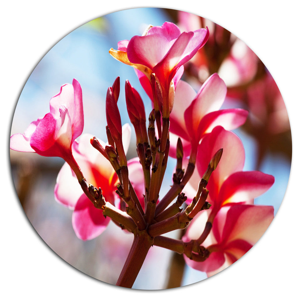 Bunch Of Beautiful Tropical Flowers, Floral Disc Metal Wall Art, 11"