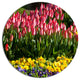 Red Tulips With Yellow Purple Flowers, Flower Disc Metal Artwork, 36"
