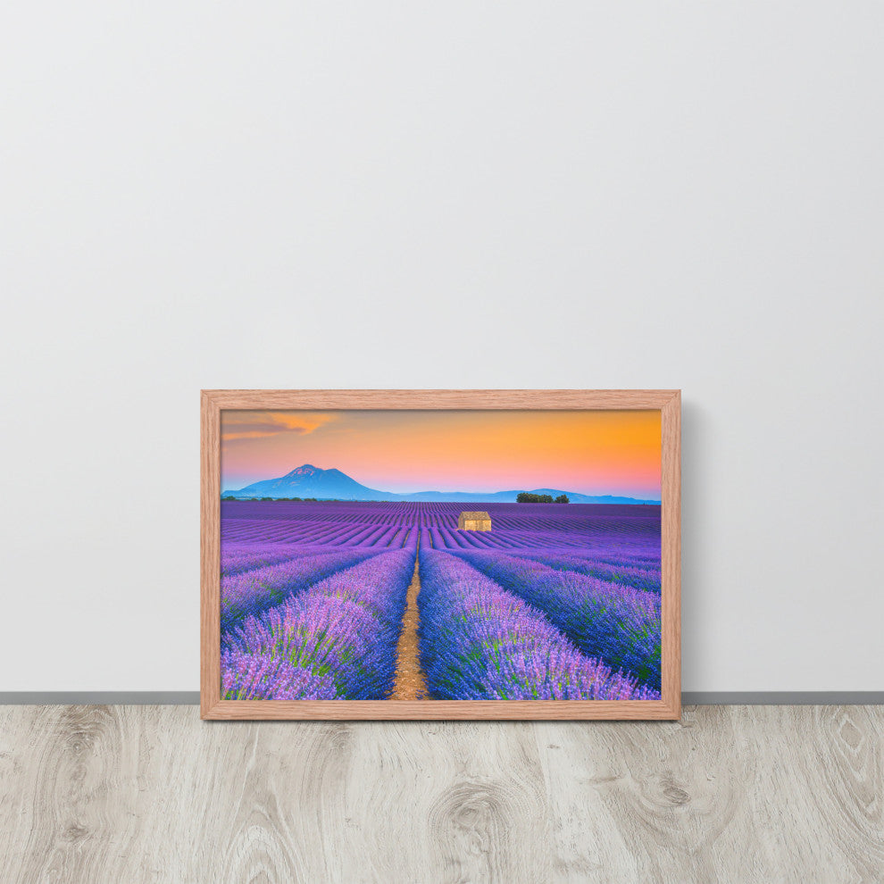 Blooming Lavender Field and Sunset Floral Landscape Framed Photo Wall Art Prints, Red Oak, 12" X 18"