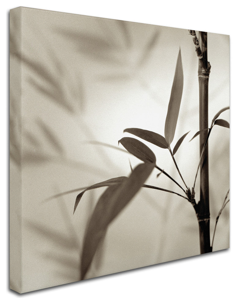 Alan Blaustein ''Florison 64'' Canvas Art, 14x14