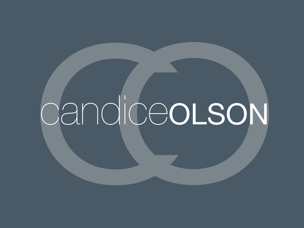 Candice Olson Down Alternative Pillows With Removable Cover, Standard