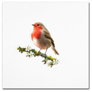 The Macneil Studio 'Robin' Canvas Art, 18"x18"