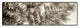 Alan Blaustein ''Florison 101'' Canvas Art, 47x16