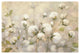 "Cotton Field" Digital Paper Print by Julia Purinton, 26"x18"