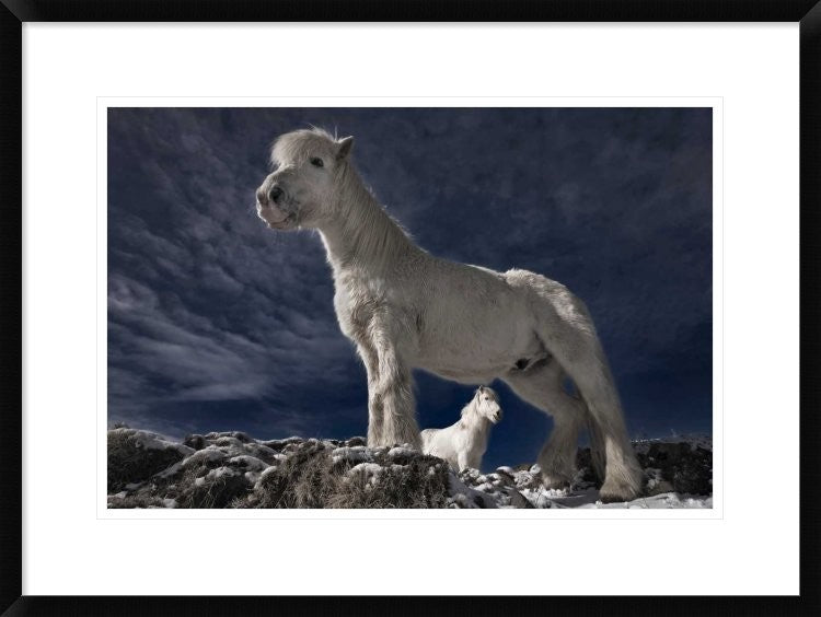 "Partners Ii" Framed Digital Print by Brin Ingibergsson-Bragi, 30x22"