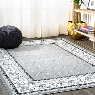 Acanthus French Border, Gray/Cream, 4'x6'