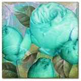 Color Bakery 'Aqua Rose II' Canvas Art, 35"x35"