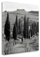 "Tuscany - 4" By Alan Blaustein, Giclee Print on Gallery Wrap Canvas