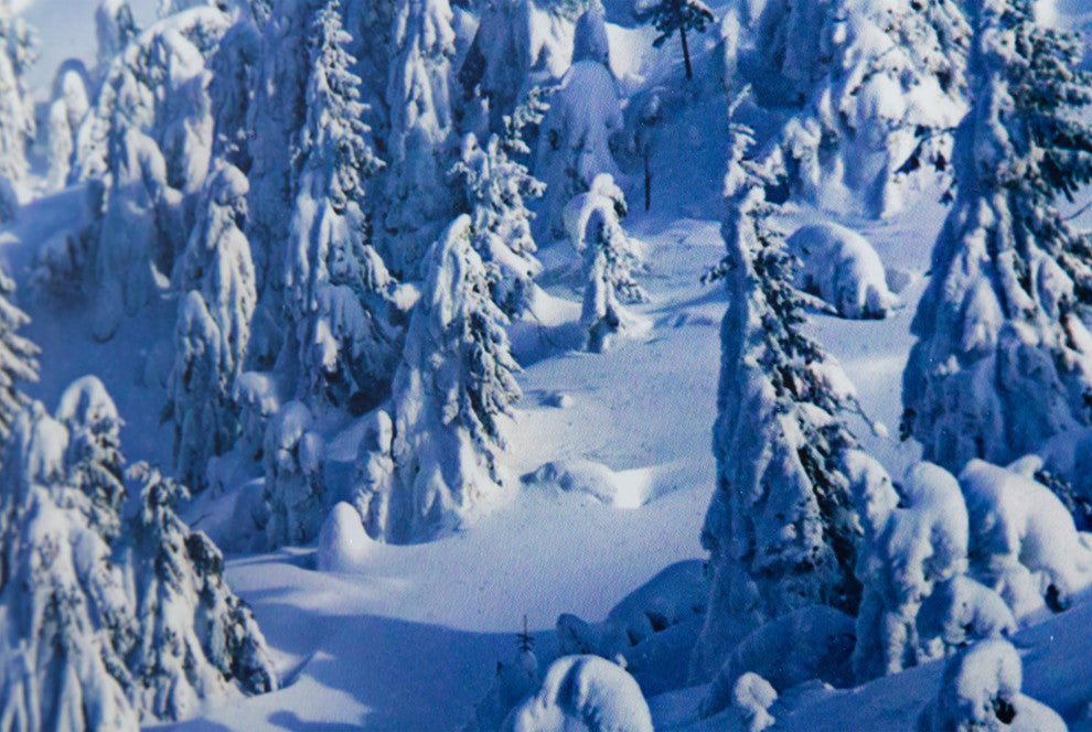 Alpine Landscape