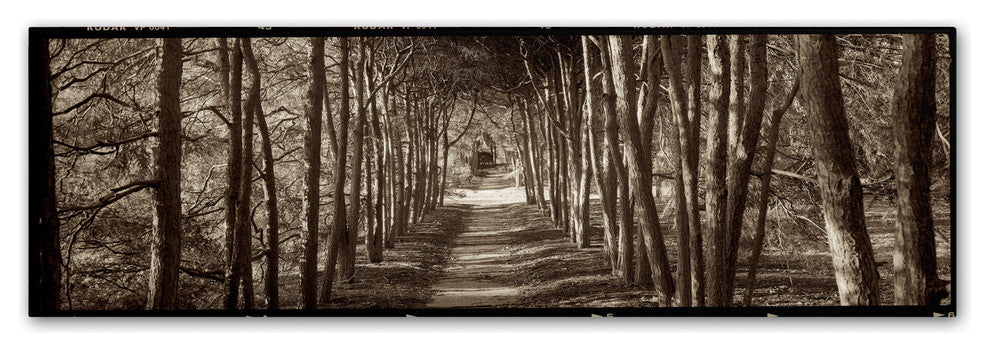 Alan Blaustein ''Hampton Gates Promenade II'' Canvas Art, 19x6