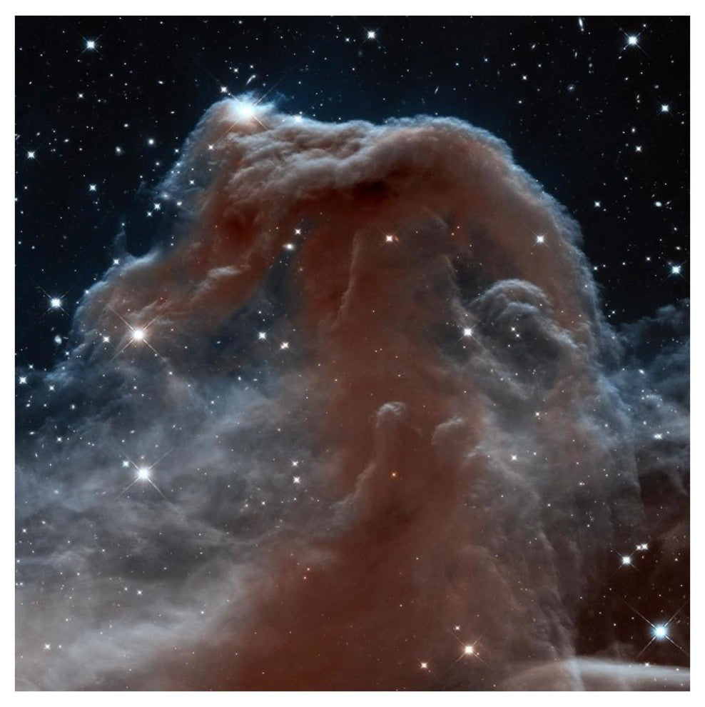 "Horsehead Nebula, Infrared View" Digital Paper Print by NASA, 38"x38"