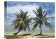 "Palm trees, Agana Beach, Guam" Canvas Giclee by Tim Fitzharris, 16"x12"