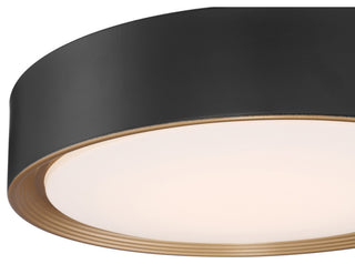 Access Lighting 49970LEDD-ACR Malaga 16"W LED Flush Mount Drum - Matte Black