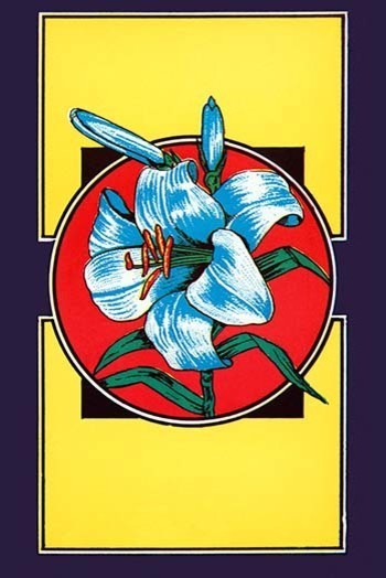 Lily Flower Broom Label- Gallery Wrapped Canvas Art 28" x 42"