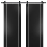 Sturdy Double Barn Door 48 x 96 with | Planum 0410 Matte Black with  | 13FT