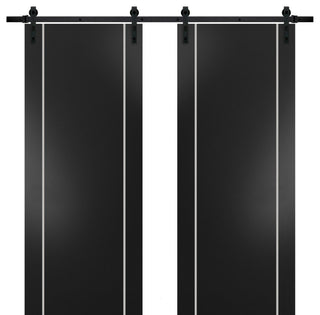 Sturdy Double Barn Door 48 x 96 with | Planum 0410 Matte Black with  | 13FT