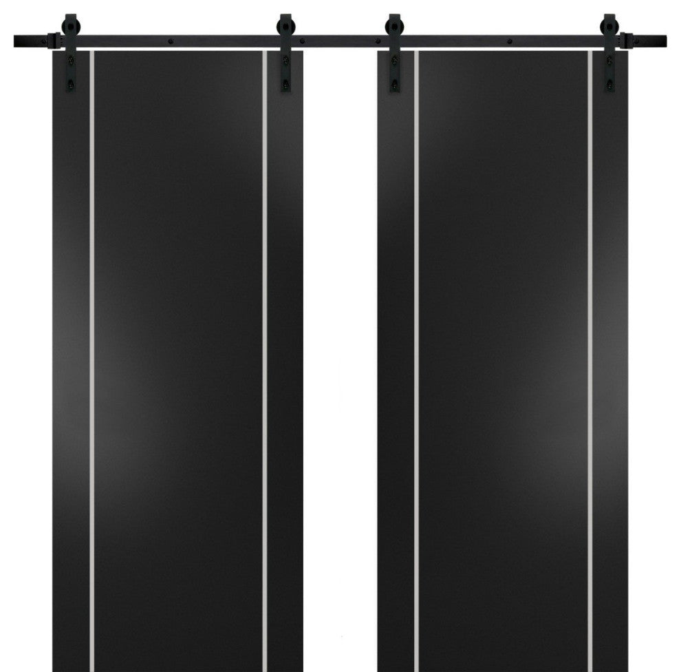 Sturdy Double Barn Door 48 x 96 with | Planum 0410 Matte Black with  | 13FT