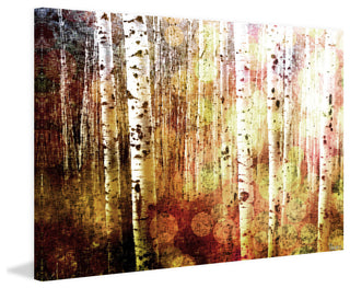 "Aspen " Fine Art Canvas Print, 60"x40"