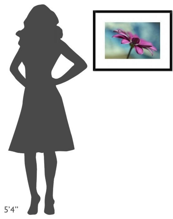 "Pattern Drop" Framed Digital Print by Heidi Westum, 26"x20"