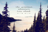 "The Greatest Adventure" Print on Canvas by Sylvia Cook