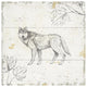 "Wild and Beautiful VIII" Digital Paper Print by Daphne Brissonnet, 38"x38"
