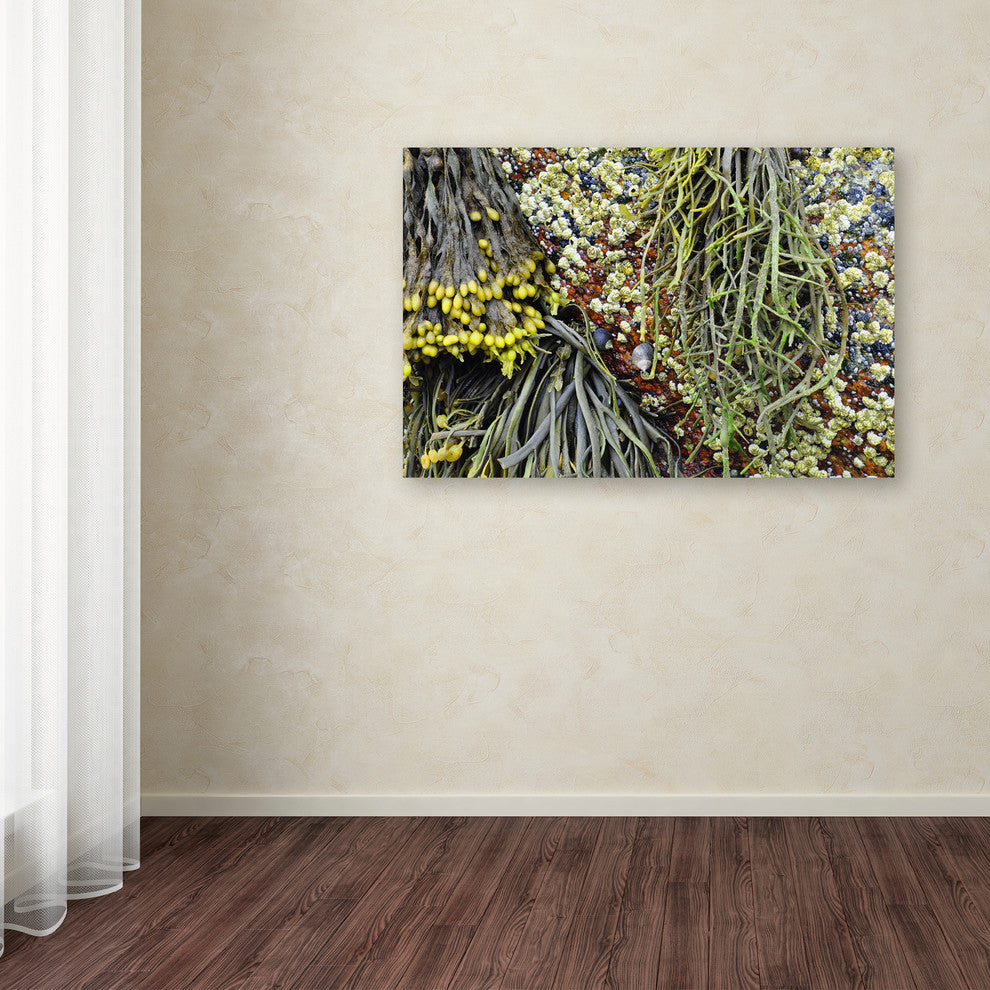 Nicole Dietz 'Latched' Canvas Art, 47x30