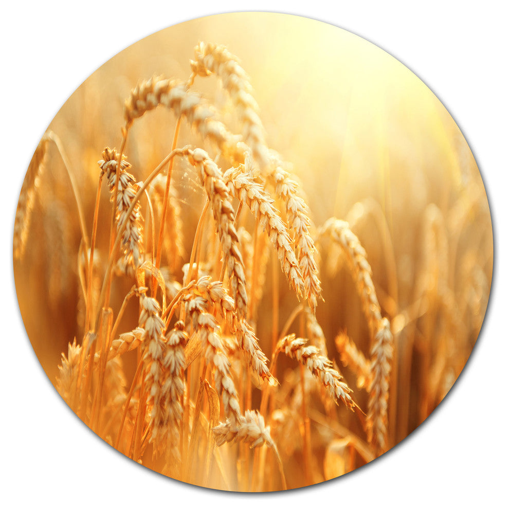 Ears Of Golden Wheat Close-Up, Landscape Wall Round Wall Art, 23"