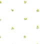 Rose Gardens 2, Romantic Floral Flower White Wallpaper Roll
