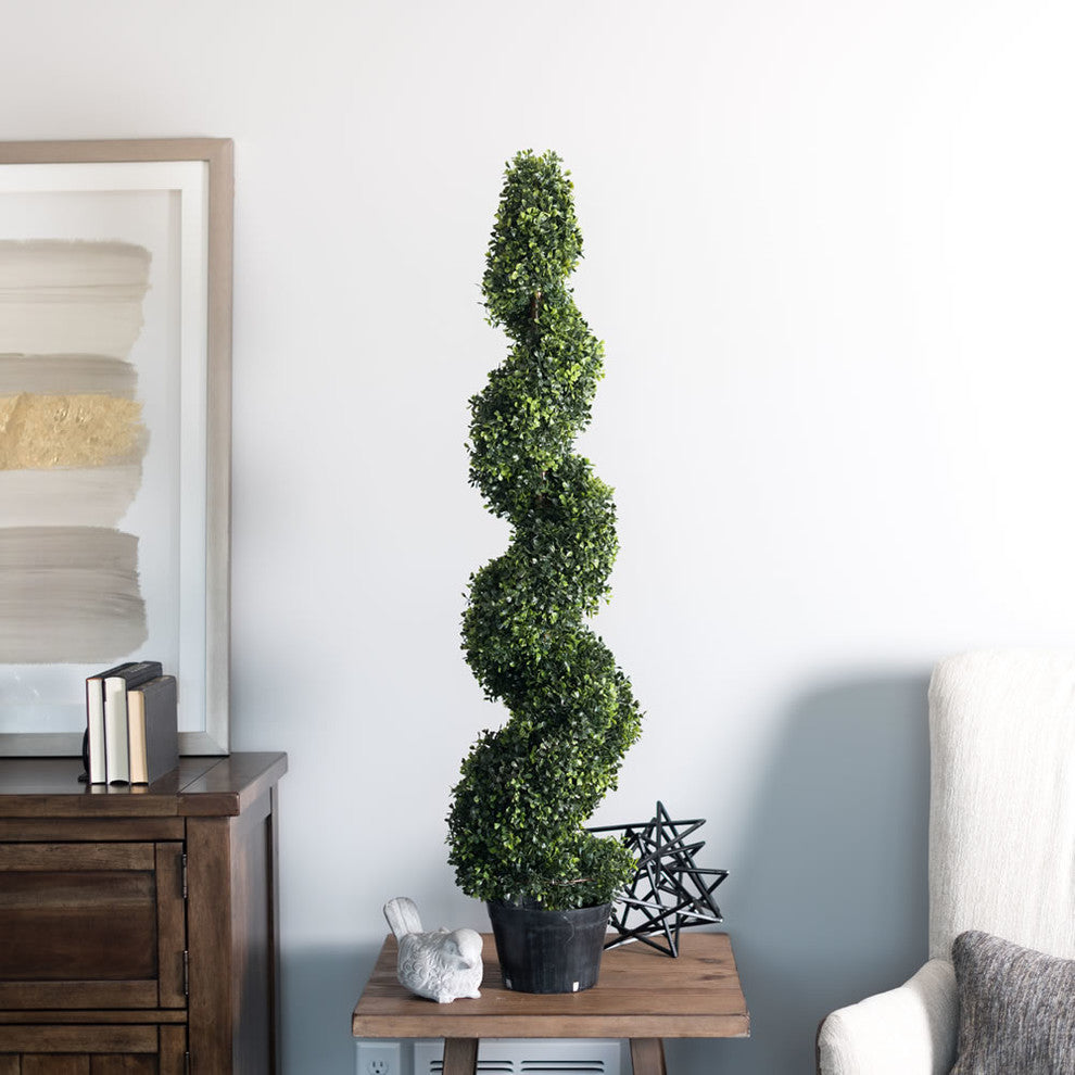 4' Boxwood Spiral In Pot (Uv)