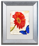 Color Bakery 'Gerbera Daisy' Art, Silver Frame, White Matte, 11"x14"