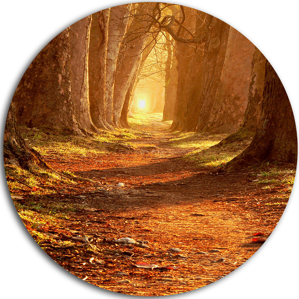 Magic Morning At The Fall Park, Landscape Photo Disc Metal Artwork, 11"