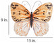 wall butterfly honey (m712601)